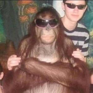 Meet your Posher, Josh